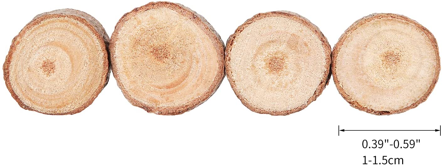 Natural Wood Slices Craft Wood Wooden Circles Tree Slices for Arts
