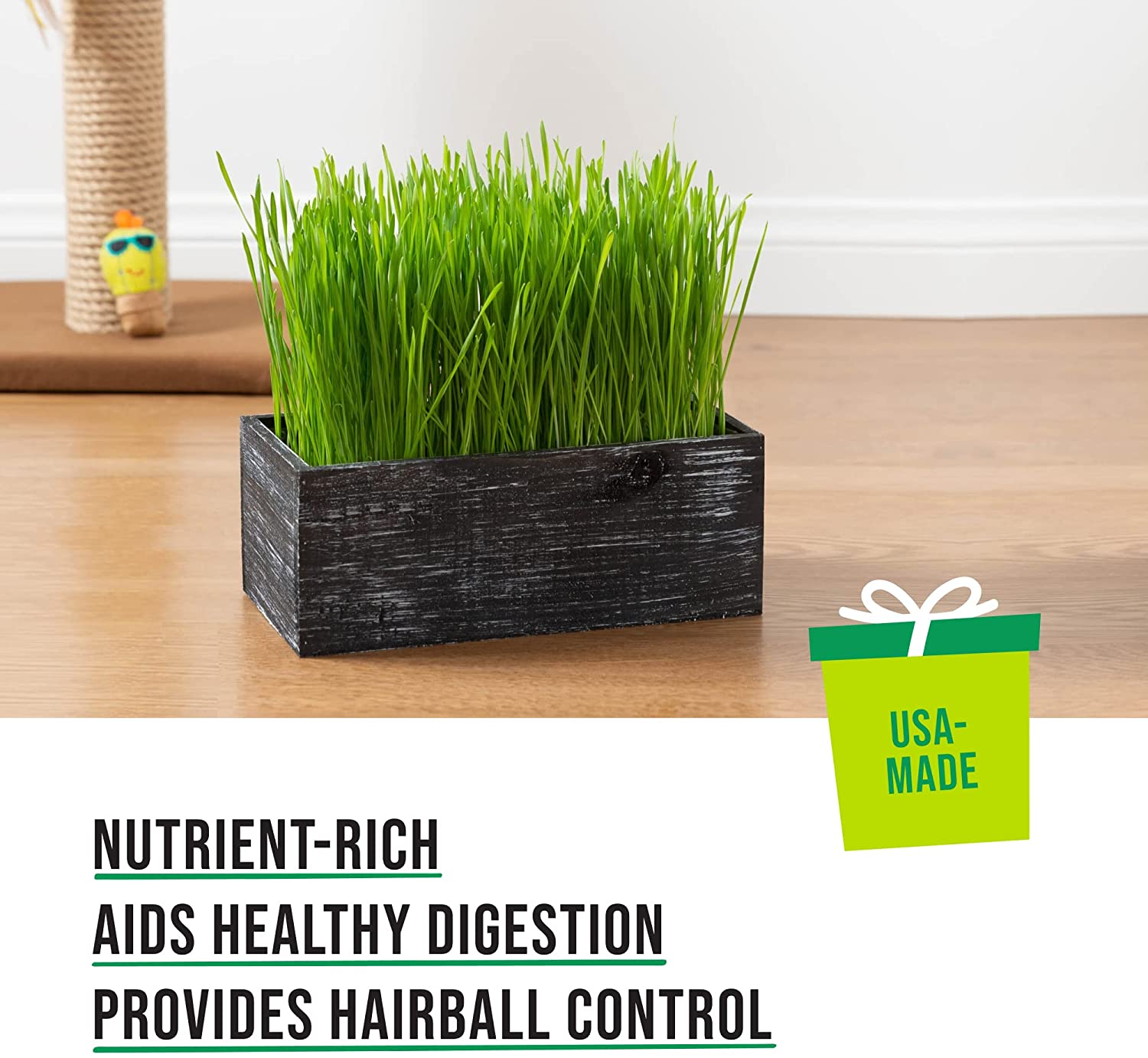 Cat Grass Kit (Organic) Complete with Rustic Wood Planter, Seed and Soil. Easy to Grow.