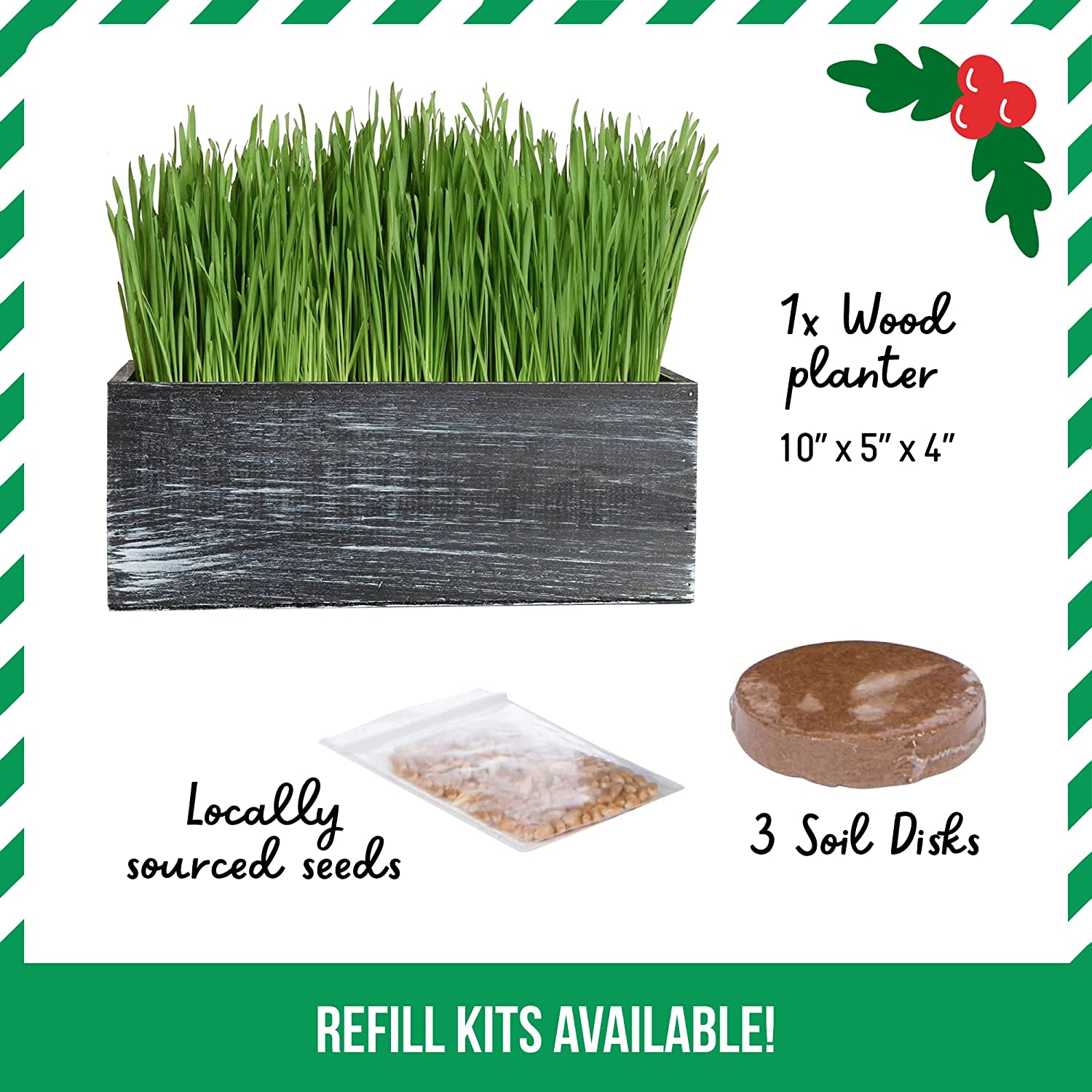 Cat Grass Kit (Organic) Complete with Rustic Wood Planter, Seed and Soil. Easy to Grow.