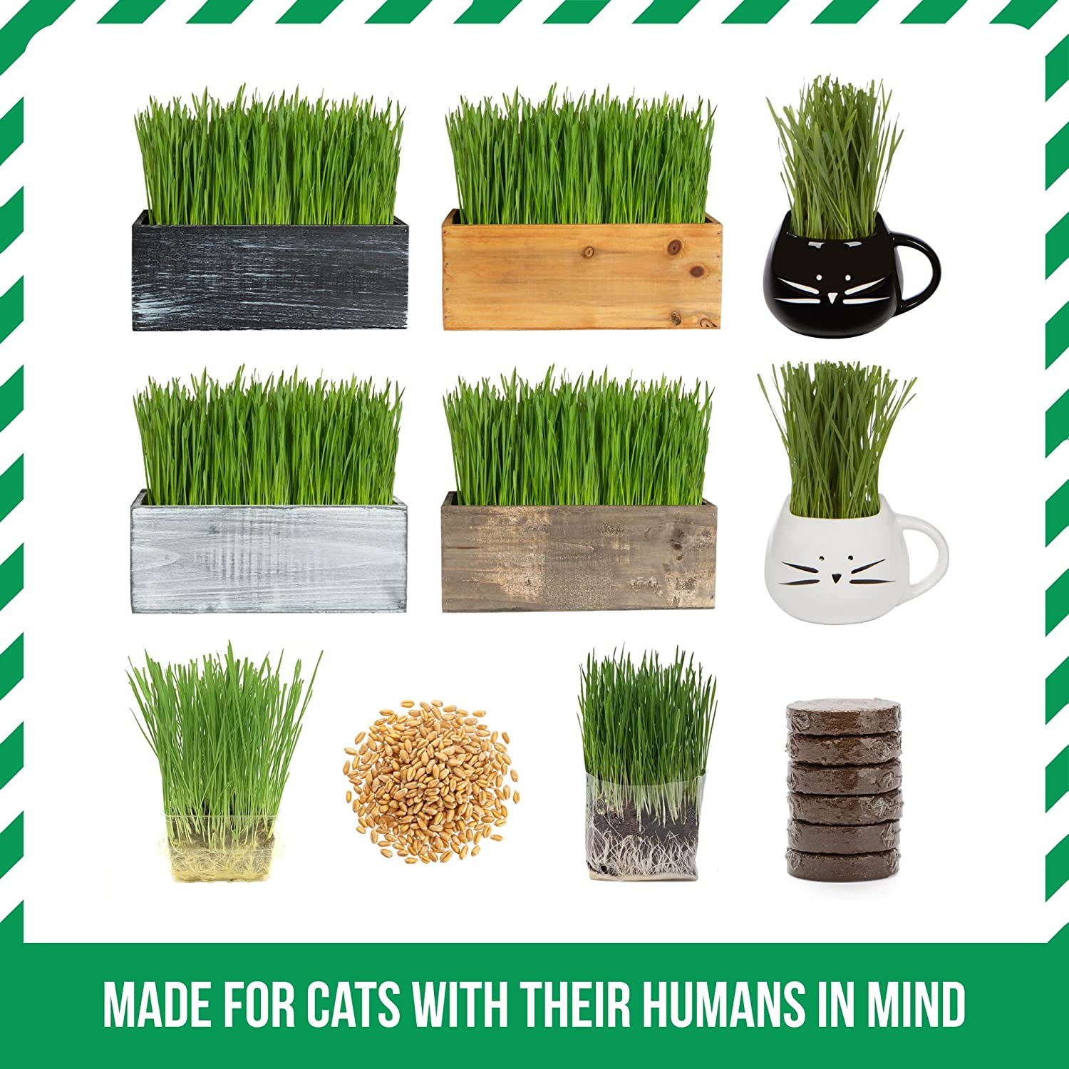 Cat Grass Kit (Organic) Complete with Rustic Wood Planter, Seed and Soil. Easy to Grow.